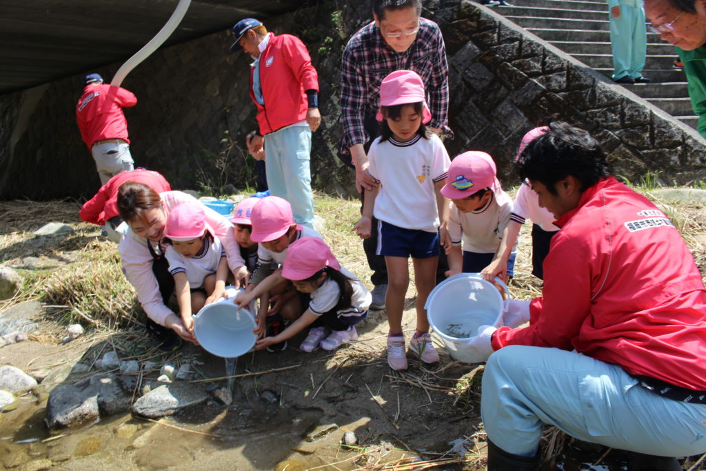 鮎の放流をしました