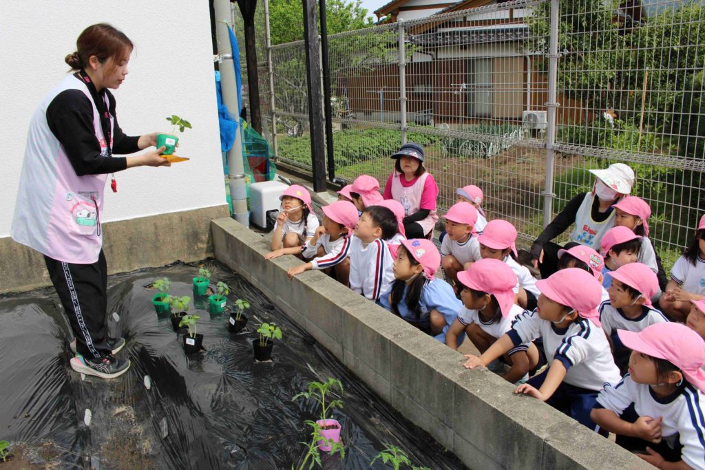 夏野菜の苗植えをしました！