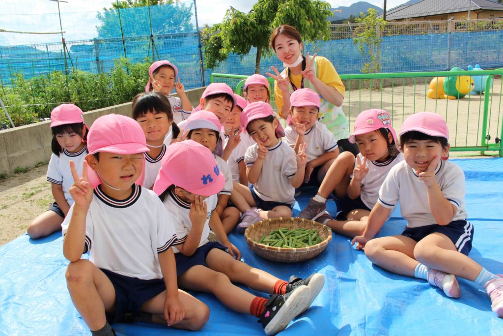 グリーンピースとそらまめの収穫をしました！