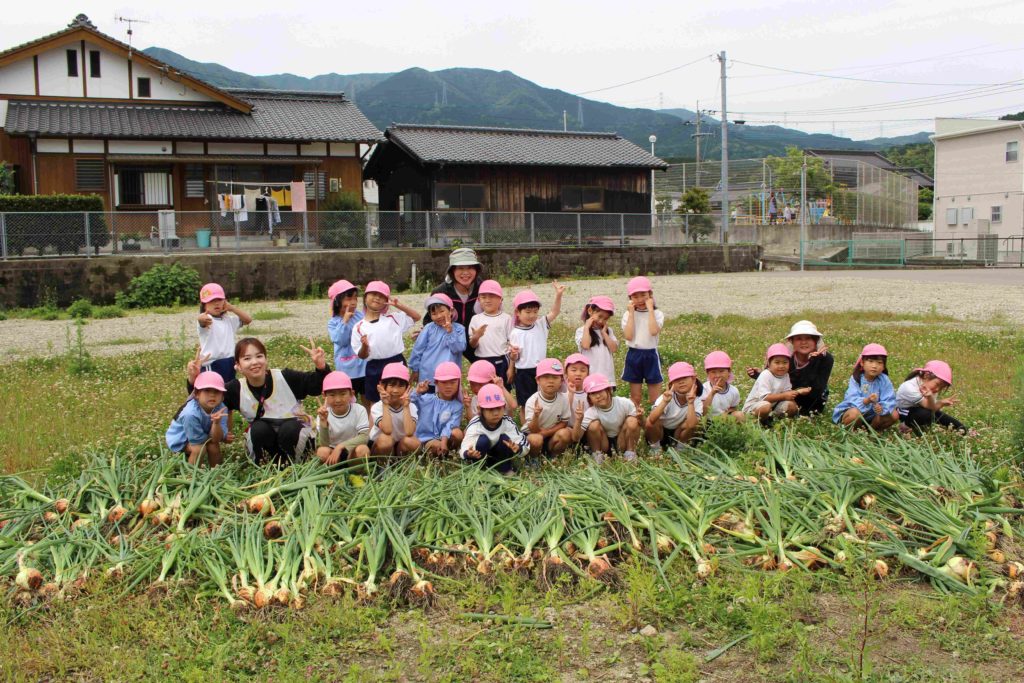 たまねぎの収穫をしました！