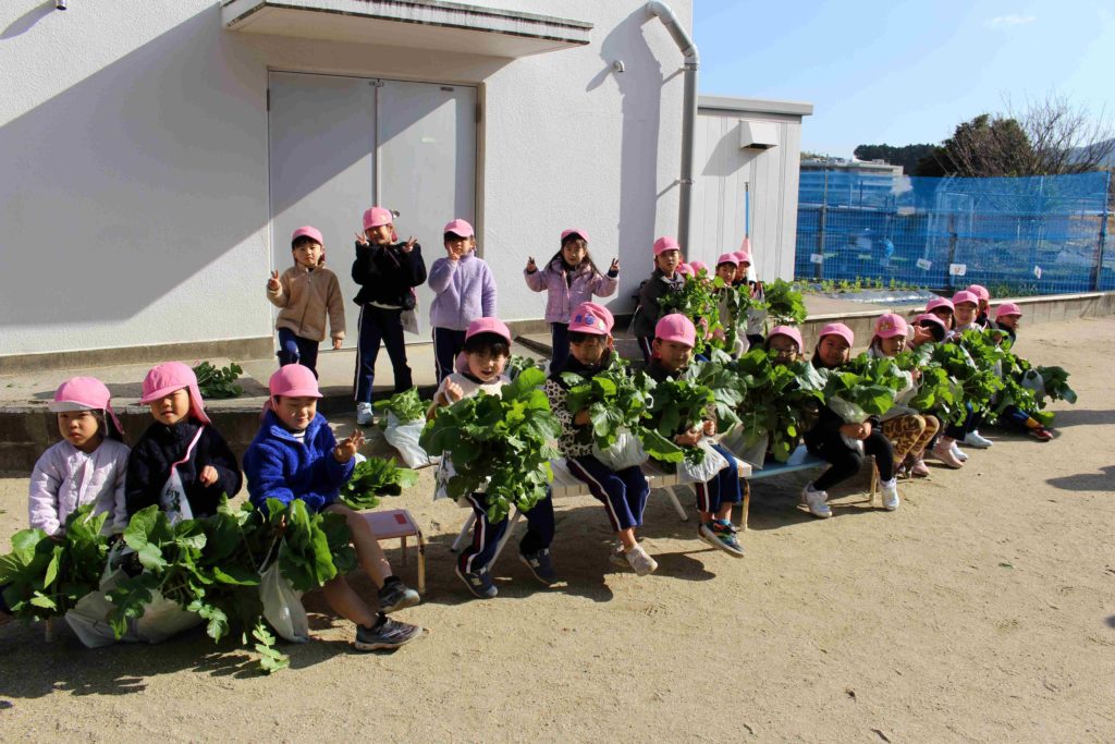七草を摘みに行きました！