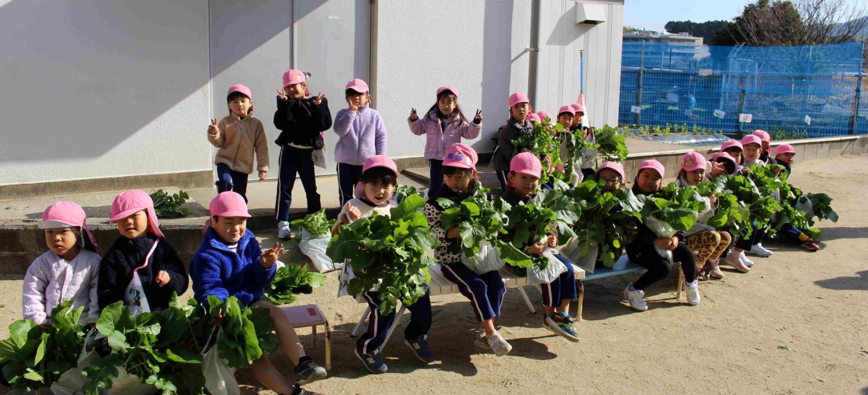 七草を摘みに行きました！