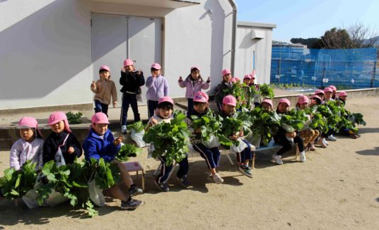 七草を摘みに行きました！